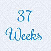 37-weeks